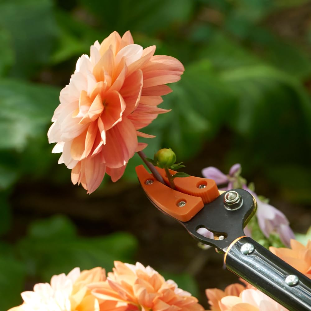 Langstielige Gartenschere „Titanium”