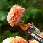 Langstielige Gartenschere „Titanium”