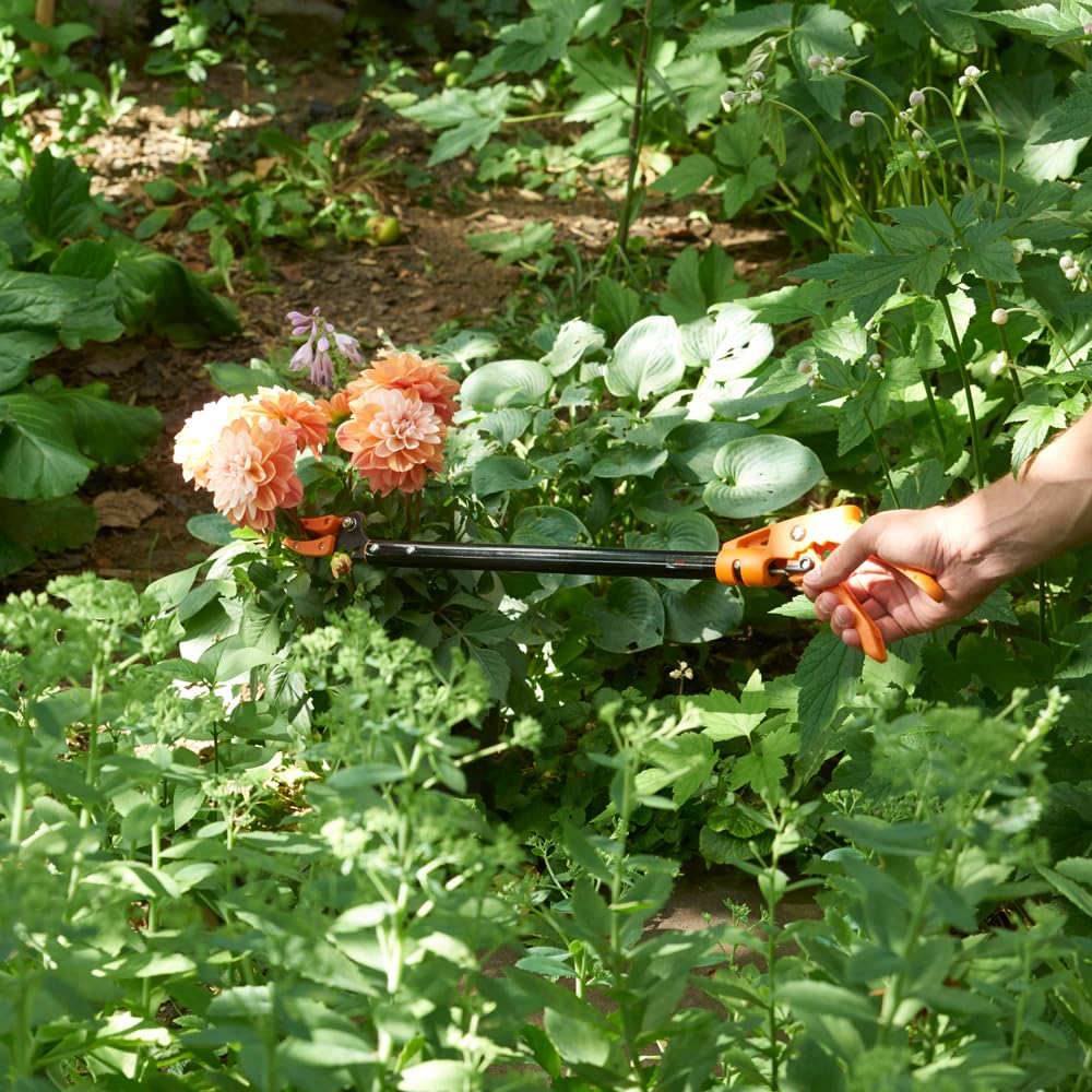 Langstielige Gartenschere „Titanium”