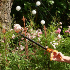 Langstielige Gartenschere „Titanium”